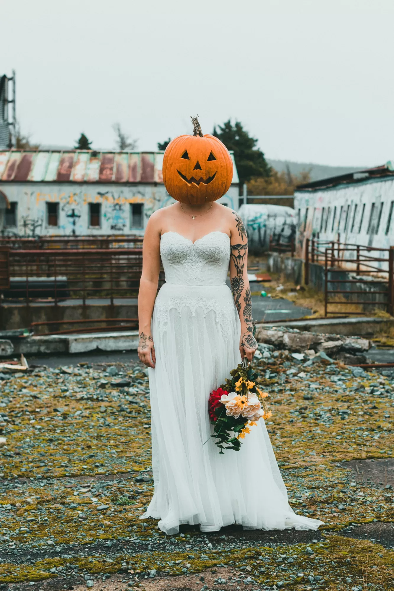 fotograf nunta
